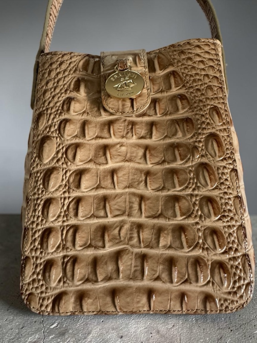 BRAHMIN Marley Embossed Croc Mini Crossbody in Travertine Melbourne NWT - Picture 3 of 4